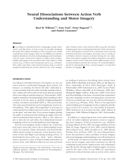 Neural Dissociations between Action Verb