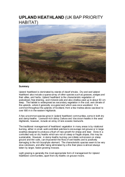 upland heathland (uk bap priority habitat)