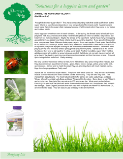 Stacey`s tips - Van Wilgen`s Garden Center