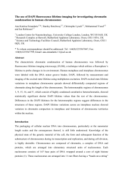 The use of DAPI fluorescence lifetime imaging for