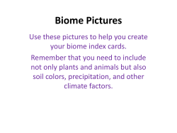 Biome Pictures