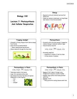 Biology 102 Lecture 7: Photosynthesis And Cellular Respiration
