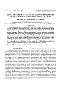 sexual dimorphism, egg laying and egg weight in ostriches