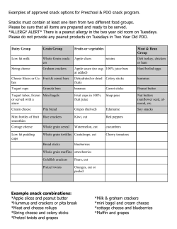 Examples of approved snack options for Preschool