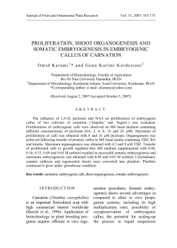 proliferation, shoot organogenesis and somatic embryogenesis in