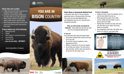 Grasslands National Park