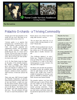 Pistachio Orchards - a Thriving Commodity