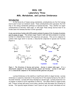 BIOL 109 Laboratory Three Milk, Metabolism, and Lactose Intolerance