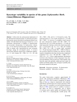 Karyotype variability in species of the genusZephyranthesHerb