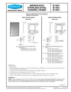 MIRROR WITH STAINLESS STEEL CHANNEL FRAME B