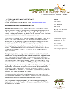 press release: for immediate release