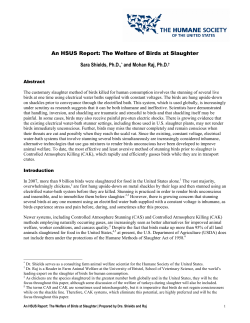 The Welfare of Birds at Slaughter