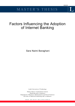 MASTER`S THESIS Factors Influencing the Adoption of Internet