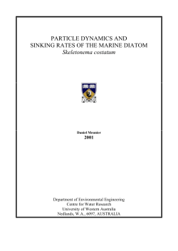 PARTICLE DYNAMICS AND SINKING RATES OF THE MARINE