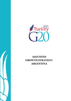 ADJUSTED GROWTH STRATEGY: ARGENTINA