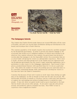 escapes - City Escapes Nature Photography