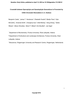 Crosstalk Between Sporophyte and Gametophyte