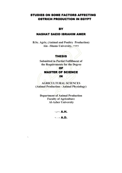studies on some factors affecting ostrich production in egypt ostrich