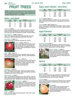 fruit trees - Lawyer Nursery