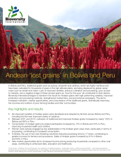 Andean `lost grains` in Bolivia and Peru