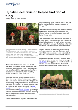 Hijacked cell division helped fuel rise of fungi