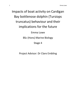 Impacts of boat activity on Cardigan Bay bottlenose dolphin