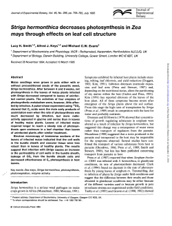 Striga hermonthica decreases photosynthesis in Zea