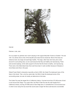 Hannah Partners: Julia, Jack For our project my partners and I went