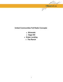 Radio Scripts