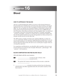 Blood