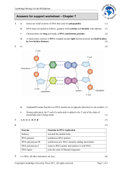Answers for support worksheet &ndash; Chapter 7