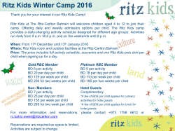 Activity Matrix - The Ritz