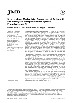 Structural and Mechanistic Comparison of Prokaryotic and