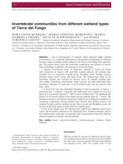 Invertebrate communities from different wetland types of Tierra del