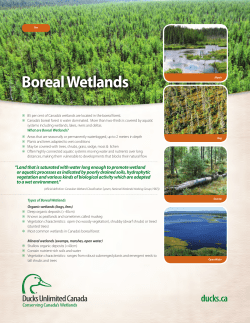Boreal Wetlands - Ducks Unlimited Canada