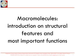 Macromolecules: introduction on structural features