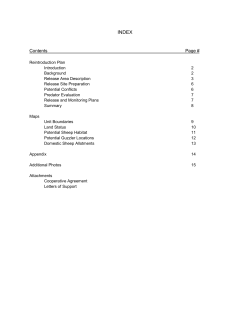 Big Horn Sheep Reintroduction Plan