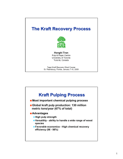 Kraft Recovery Process
