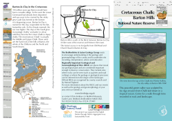 Cretaceous Chalk: Barton Hills