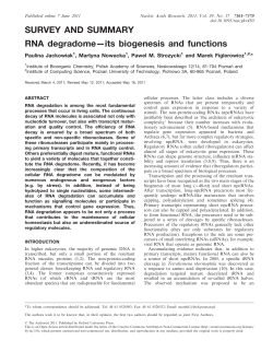 RNA degradome&mdash;its biogenesis and functions | Nucleic Acids