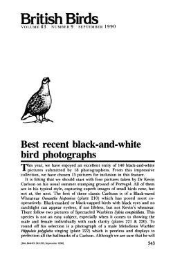 to the full article.