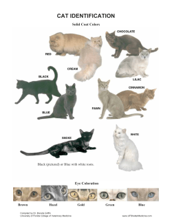 cat identification - University of Florida