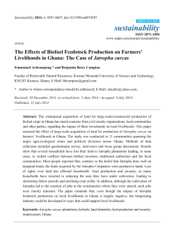 The Effects of Biofuel Feedstock Production on Farmers