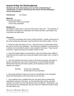 Invent A Key for Echinoderms