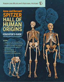 Spitzer Hall of Human Origins Educator`s Guide