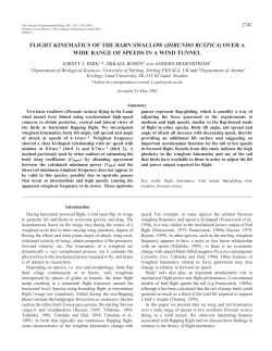 Barn swallow flight kinematics - Journal of Experimental Biology