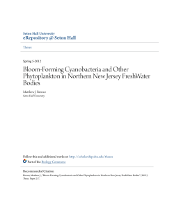 Bloom-Forming Cyanobacteria and Other Phytoplankton in Northern