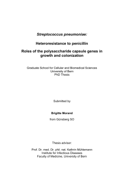 Streptococcus pneumoniae: Heteroresistance to penicillin Roles of