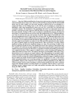 Hawksbill Turtles (Eretmochelys imbricata) in Cuba: An Assessment
