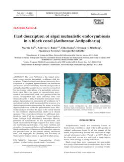 First description of algal mutualistic endosymbiosis in a black coral